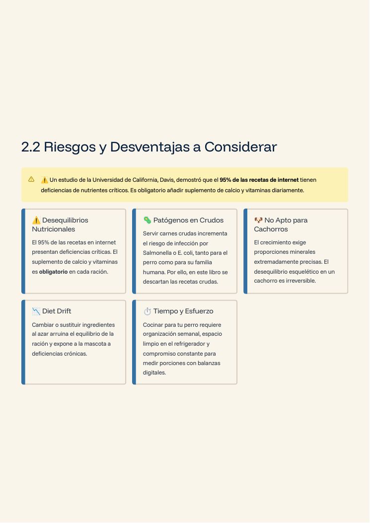 Guía principal: beneficios de la cocina casera